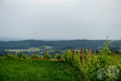 papuk-48