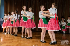v_pisanica_170304-085