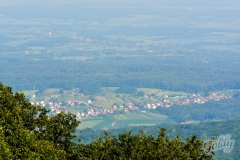 omanovac-17