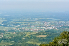 omanovac-20