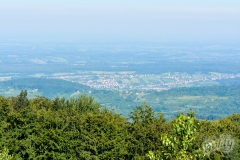 omanovac-23