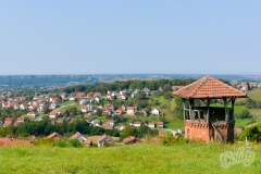 daruvar-1