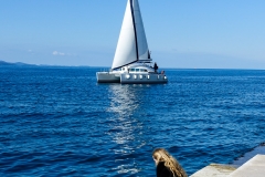 zadar-turisticki-12