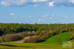 pejsazi-4