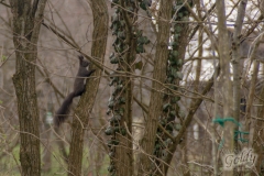 puteljcima-4