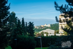 prochazka_brnem__15